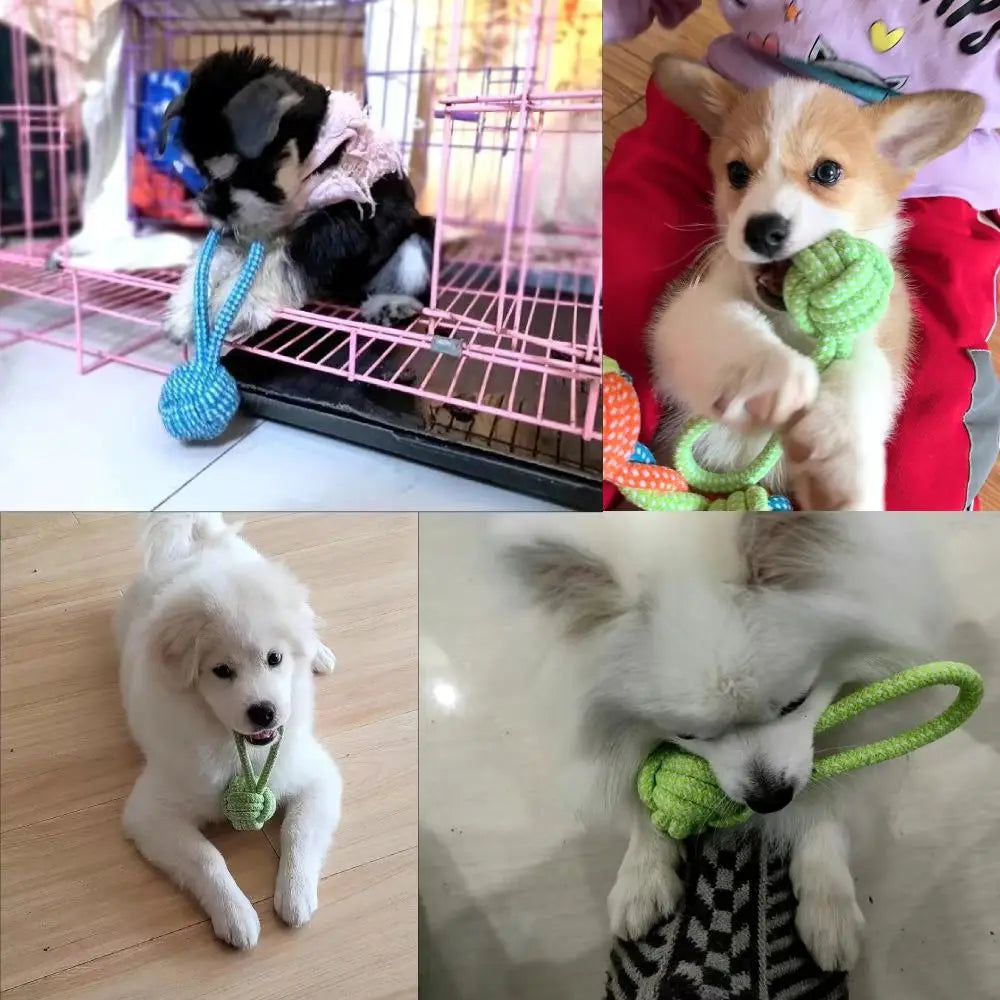 Dog Toy Chew Cotton Rope Teeth Clean Ball Rope Toys Ball Tough Rope Tug of War & Fetching Random Color