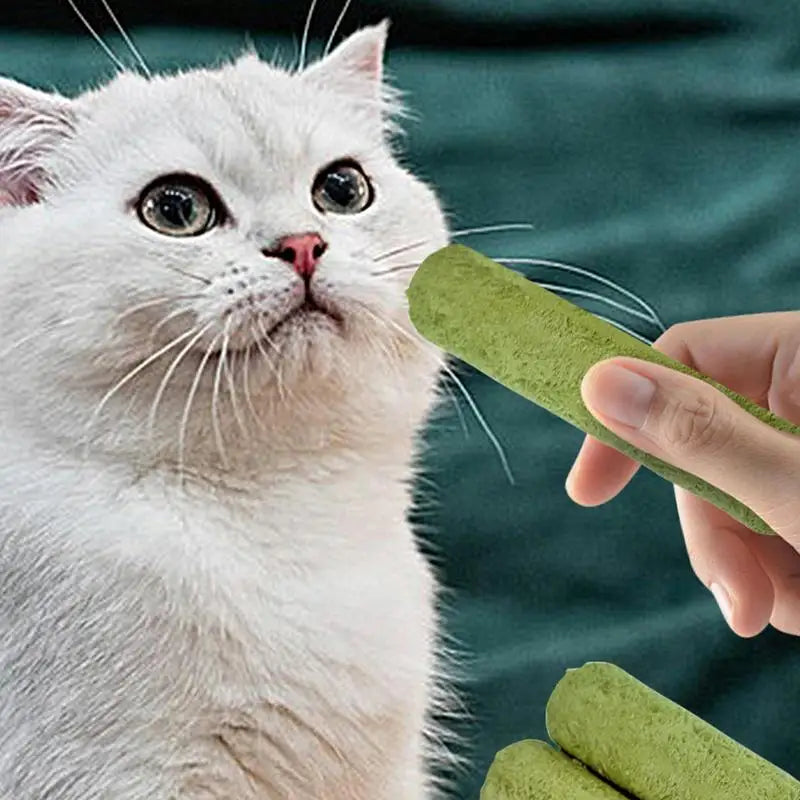 5Pcs Cat Grass Sticks Pet Edible Snacks Teeth Grinding Stick Cat Mild Cleaning Teething Sticks Hairball Removal Teeth Cleaning